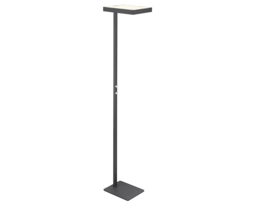 Modern LED-golvlampa för kontor i antracit med platt rektangulärt lamphuvud och fot.