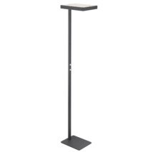 Modern LED-golvlampa med platt rektangulärt lamphuvud och två vridreglage på stativet.