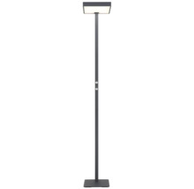 Antracitgrå LED-golvlampa med kvadratiskt huvud, två dimmervred på stången och kvadratisk fot.