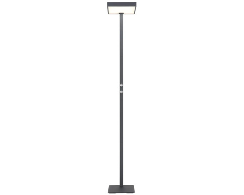 Antracitgrå LED-golvlampa med kvadratiskt huvud, två dimmervred på stången och kvadratisk fot.