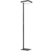 Modern golvlampa med rektangulärt huvud, platt ljuspanel och två vridbara dimrar på ett stativ med kvadratisk profil.