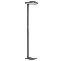 Modern LED-golvlampa med platt kvadratiskt huvud och bas samt två vridreglage på stången.