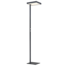 Modern golvlampa i antracit med platt rektangulärt huvud, stabil fot och två silverfärgade vridknappar på stativet.