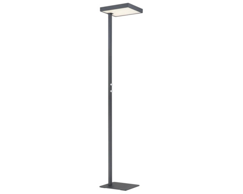 Modern golvlampa i antracit med platt rektangulärt huvud, stabil fot och två silverfärgade vridknappar på stativet.
