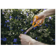 Fiskars trädgårdssax som klipper lila blommor i en rabatt.
