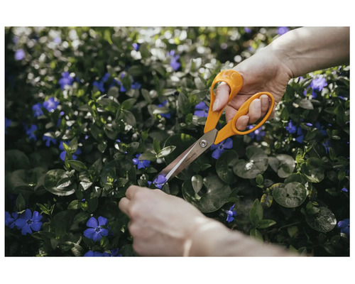 Fiskars trädgårdssax som klipper lila blommor i en rabatt.