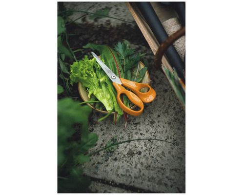 Fiskars örtsax ligger på nyskördade örter och sallad i en skål i trädgården på ett stengolv.