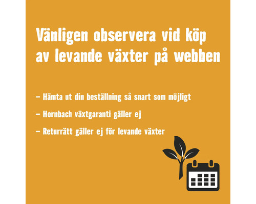 Information vid köp av levande växter online: hämta beställning snarast, Hornbach växtgaranti gäller ej, ingen returrätt.