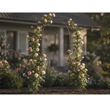 Rosenbåge i metall med blommande klätterrosor i en ljus trädgård framför ett hus, dekorativt spaljé för utomhusbruk.