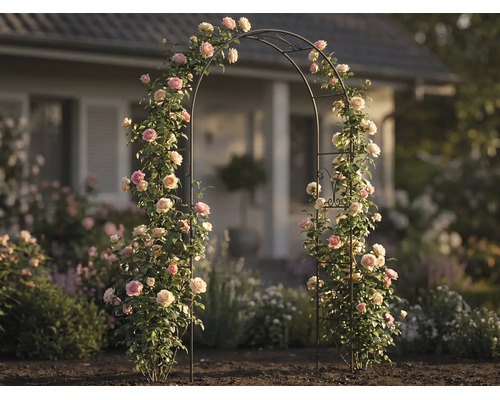 Rosenbåge i metall med blommande klätterrosor i en ljus trädgård framför ett hus, dekorativt spaljé för utomhusbruk.
