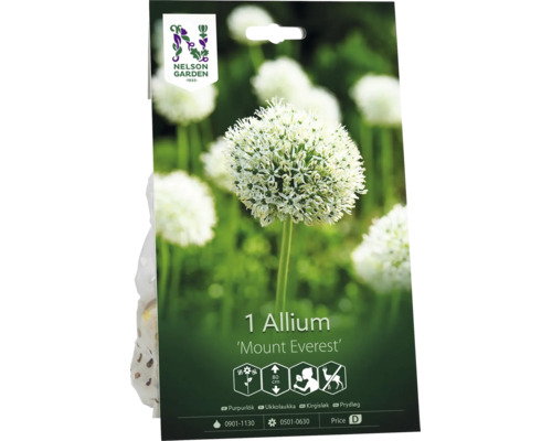 Allium Mount Everest från Nelson Garden. Klotformad blomma. Symboler för höjd cirka 80 centimeter, doft och rådjursresistens. Nelson Garden Logo.