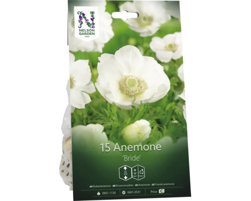 Nelson Garden Logo, 15 stycken vita bukettanemon Bride blomsterlökar, växthöjd 25 centimeter, blomning under första och tredje året.