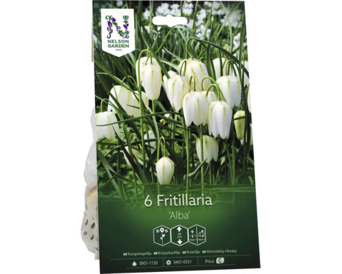 Nelson Garden Logo. Förpackning med 6 blomlökar Fritillaria Alba. De vita, klockformade blommorna når en höjd på 30 centimeter.