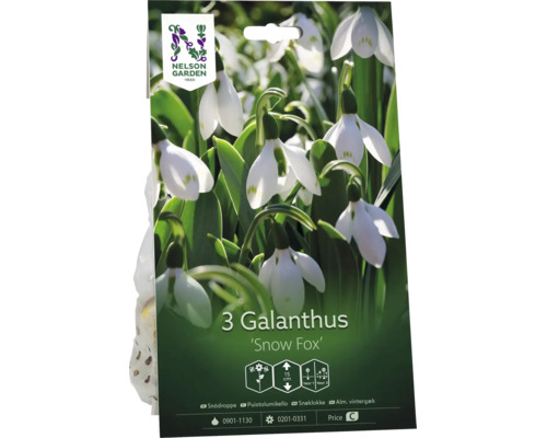 Nelson Garden Logo, förpackning med 3 Galanthus Snow Fox snödroppar blomlökar, växthöjd cirka 15 centimeter.