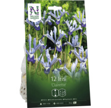 Förpackning med 12 Iris Clairette blomlökar från Nelson Garden. Bild på blommor, symboler för 15 centimeter växthöjd och Nelson Garden Logo.