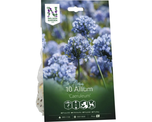 Nelson Garden Logo. Förpackning med 10 Allium Caeruleum blomlökar. Blå klotrunda blommor, höjd 60 centimeter, lämplig för snitt, rådjursresistent.