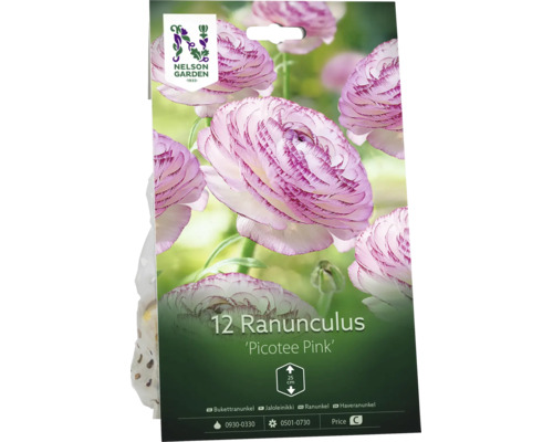 Nelson Garden Logo på en förpackning med 12 stycken bukettranunkel Picotee Pink. Blommorna är rosa och vita. Växthöjd cirka 25 centimeter.