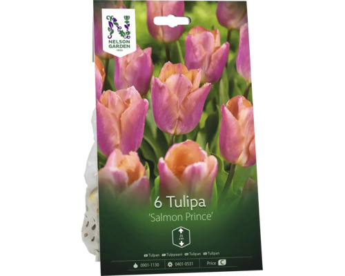 Förpackning med sex blomlökar av tulpanen Salmon Prince från Nelson Garden. Växthöjd cirka 35 centimeter. Nelson Garden Logo.