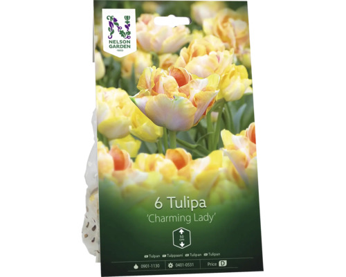 Förpackning med 6 Nelson Garden tulpanlökar Charming Lady, höjd 50 centimeter.