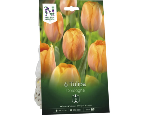 Förpackning med 6 tulpanlökar av sorten Dordogne från Nelson Garden, växthöjd 60 centimeter, orange blommor.