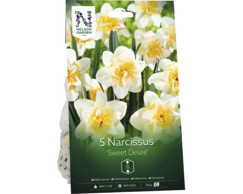 Förpackning med 5 narcisser Sweet Desire, dubbla blommor, växthöjd 40 centimeter, Nelson Garden Logo.