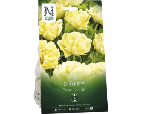 Förpackning med 6 Nelson Garden tulpanlökar Avant Garde, gräddvita fyllda blommor, växthöjd 35 centimeter.