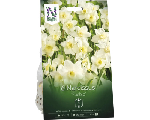 6 narcisslökar Pueblo med Nelson Garden Logo, vita blommor, höjd 25 centimeter.