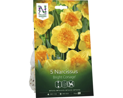 Nelson Garden Logo. 5 påskliljor Bright Corsage blomlökar, växthöjd 40 centimeter, blomning första året, rådjursresistent.