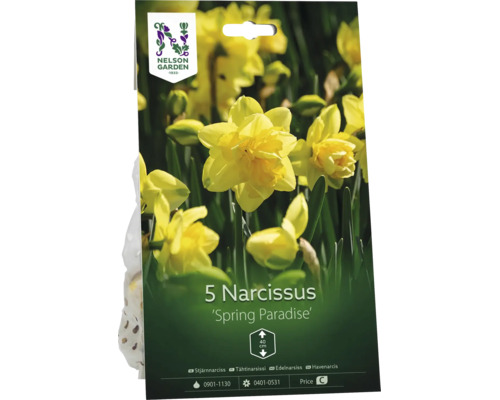Nelson Garden lökförpackning med 5 stjärnnarcisser Spring Paradise, gula fyllda blommor, växthöjd cirka 40 centimeter.