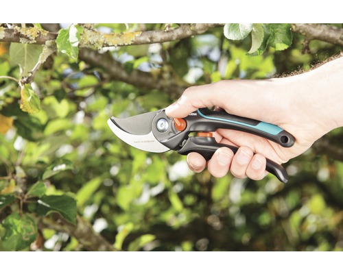 Hand håller en trädgårdssax för att beskära grenar