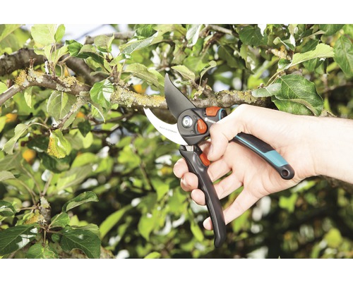 Trädgårdssax klipper gren