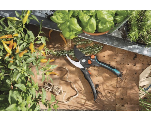 Trädgårdssax med örter på en skärbräda