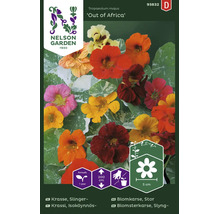 Fröpåse Slingerkrasse Tropaeolum majus Out of Africa med färgglada blommor, brokiga blad, ettårig, Nelson Garden Logo.