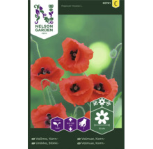 Nelson Garden Logo. Fröpåse för röd kornvallmo Papaver rhoeas, ettårig, höjd 40 till 50 centimeter, blomma 6 centimeter, bivänlig.