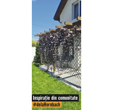 Pergola av trä med spaljé och blommande klätterväxter på en uteplats bredvid en gräsmatta.