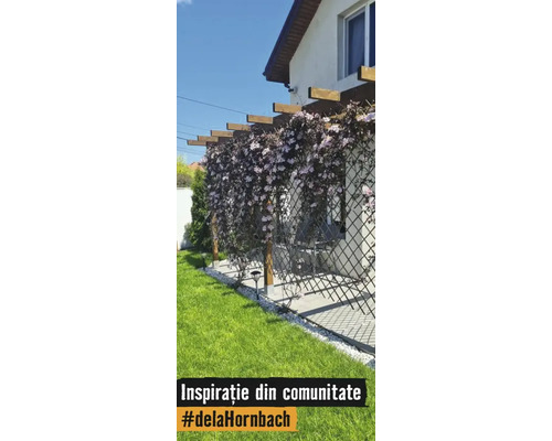 Pergola av trä med spaljé och blommande klätterväxter på en uteplats bredvid en gräsmatta.
