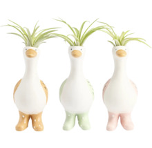 Tre dekorativa ytterfoder i keramik formade som ankor med gummistövlar och Tillandsia-luftplantor.