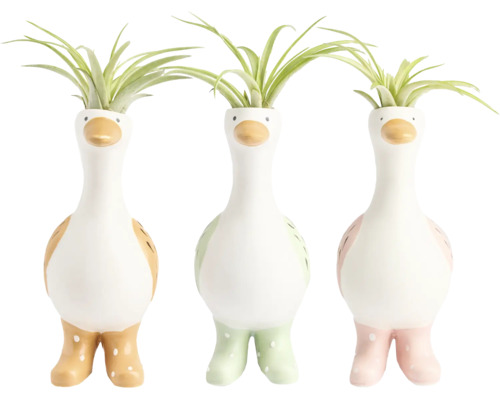 Tre dekorativa ytterfoder i keramik formade som ankor med gummistövlar och Tillandsia-luftplantor.