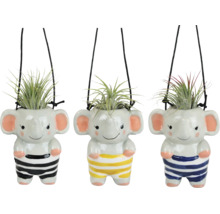 Tre hängande blomkrukor i keramik utformade som elefanter med tillandsia-växter, randiga.