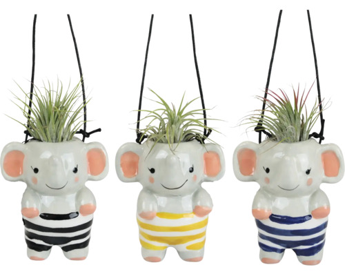 Tre hängande blomkrukor i keramik utformade som elefanter med tillandsia-växter, randiga.