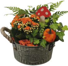 Höstarrangemang med Kalanchoe i zinkkruka med rephandtag, murgröna, ormbunke, plyschpumpa och svampdekoration.