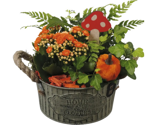 Höstarrangemang med Kalanchoe i zinkkruka med rephandtag, murgröna, ormbunke, plyschpumpa och svampdekoration.