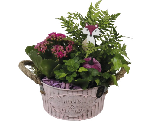 Växtarrangemang i rosa metallhink med rephandtag, innehållande kalanchoë, ormbunke, murgröna, trävräv och dekorationspumpa.