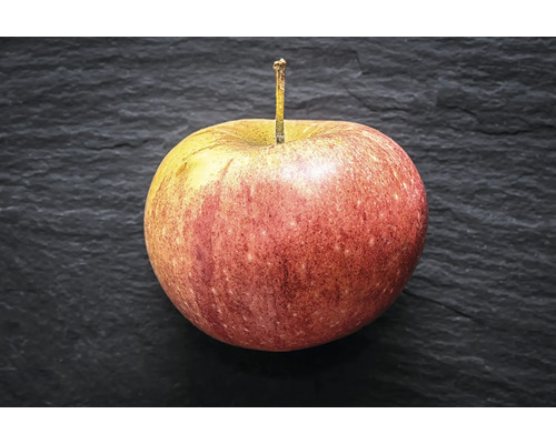 Ett enskilt äpple med skaft på en strukturerad yta.