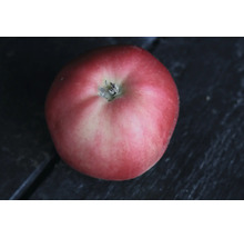 Ett enskilt runt äpple på en mörk yta