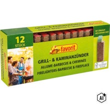 Favorit grill och braständare med tolv stycken inklusive tändhuvud i en rektangulär förpackning (Image AI modified or generated)