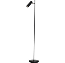 Modern golvlampa med smal bas och justerbart strålkastarhuvud för riktad belysning.