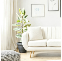 Ljust vardagsrum med modern soffa, kuddar, mönstrad sittpuff och en stor växt i kruka framför ett fönster med gardiner.