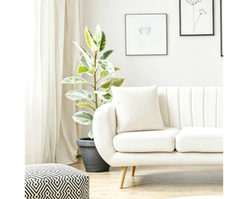 Ljust vardagsrum med modern soffa, kuddar, mönstrad sittpuff och en stor växt i kruka framför ett fönster med gardiner.