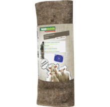 Windhager fårullsfiltmatta Strong, vinterskydd av naturfiber, 50 gånger 200 centimeter, för att skydda växter och rotklumpar.